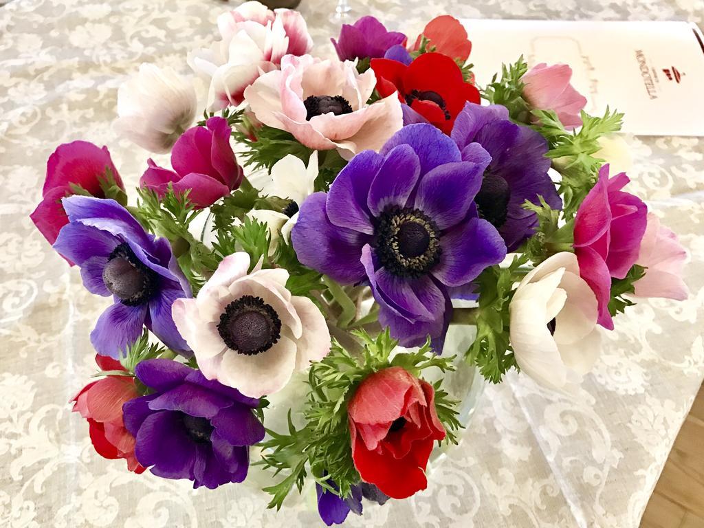 Relais Mondotella ポッツォレンゴ エクステリア 写真